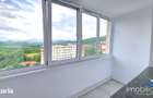 Apartament 2 camere Vulcan, Str. Nicolae Titulescu, Etaj 8, Renovat - 10