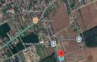 Teren agricol intravilan de 736 mp, în Snagov - 1