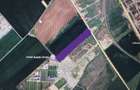 Teren Construcții de 10000 mp, în Sud - 7