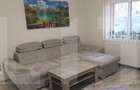 Apartament 2 camere Dambovita - 8