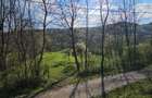 BREBU – intravilan 1800 mp, deschidere 29 ml, doar 16.900 € - 13
