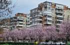 Apartament cu 3 camere decomandat în Complex Studențesc - 1
