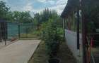 Casa de vanzare cu garaj ?i pivni?a - 7