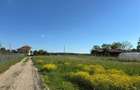 Teren intravilan 979 mp | Deschidere 16 m | Toate utilitatile - 1