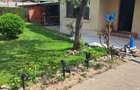 Casa in Cantemir cu 3 dormitoare, living, bucatarie, 2 bai,teren 475mp - 3