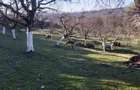 Casă cu 2 camere în Roșu - 2