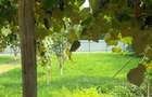 Casă cu 4 camere în Piatra-Neamț - 3