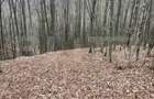Teren extravilan de vanzare, 3.5 ha padure + pasune in Comun - 8