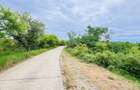 Teren de vanzare in Lipova (Baile Lipova) 52,1 ha curent 20kv, fs 550 m drum betonat - 7