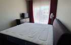 Apartament cu 2 camere semidecomandat în Europa - 8