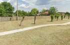 Teren intravilan de vanzare 1000 mp, Comuna Unirea, Calara?i langa parc, cu pomi fructiferi, pu? - 2