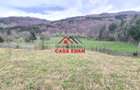 Teren extravilan Valea Doftanei 20.500 mp 6e mp - 13