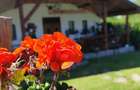Casă cu 6 camere în Zaharești - 7