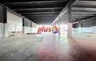 Spațiu comercial, de 600 mp, în Bartolomeu - 1