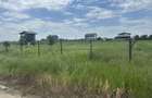 Teren intravilan 360 mp comuna berceni - 4