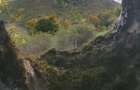 Teren 10.000 mp- Zona Montana Salbatica (Valea Mare Prava?-AG) , Panorama Iezer-Papu?a - 5