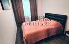 Apartament cu 2 camere semidecomandat în Tudor Vladimirescu - 2