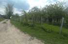 Teren intravilan 1700 mp - Drajna de Jos, Poiana Mierlei 15/mp, neg - 3