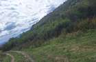 Teren agricol extravilan de 700 mp, în Gușterița - 2
