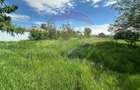Teren 6,716mp Bacau / Aleea INFRATIRII nr.23 Izvoare - 15