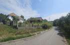 Casa 82 mp cu teren de 10.000 mp intravilan, sura si grajd - 2