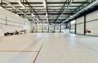 Hala industriala premium cu birouri | Parc Industrial Vest | Acces TIR - 7