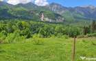 Nou! Investi?ie Sinaia-Cumpatu: Teren 1.724 mp cu Proiect - 2