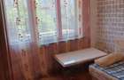 Apartament cu 2 camere semidecomandat în Baia Mare - 9