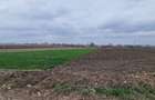 Teren Construcții intravilan de 5002 mp, în Central - 7