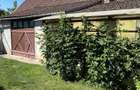 De vanzare casa in localitatea Dorobanti,jud.Arad - 5