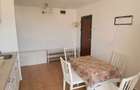 Apartament de vanzare 2 camere zona Cetate Str.Toporasilor - 4