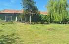 Casă cu 6 camere în Băneasa - 2