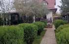 Casa 3 camere Domnesti - 5