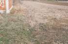 Vand teren intravilan - 6