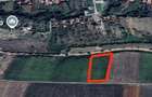 Teren intravilan, 5800 mp, se poate parcela, in Sandulesti - 1