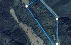 Padure 13.48 ha (134 800 m2 ) - 1