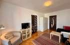 Apartament cu 2 camere, aer conditionat, Timisoara, zona centrala - 6