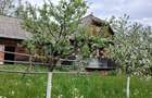 Teren agricol cu casa de lemn - 5