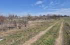 Trestieni - Ulmi, vanzare teren 1.663mp, intravilan - 7
