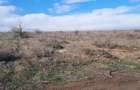 Vand 500m2 teren intravilan in Constanta,zona Palazu Mare , Malul Inalt - 2