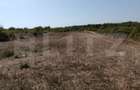 Teren intravilan, 2104 mp, zona Carcea Profi, deschidere 13. - 1