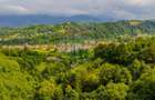 Teren de 3220 mp, în Moieciu - 10