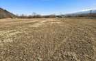 Teren de 2800 mp, în Turnu Roșu - 5