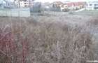 Teren de 1440 mp, în Zăvoi - 3