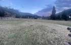Teren intravilan 30 de ari deschidere de 100m la dj 176 valea brodinei - 4