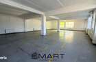Spatiu industrial 8+ camere zona Central - 2