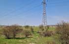 Ferma de vanzare 8 ha Bals, judetul Olt - 10