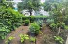 Apartament cu 2 camere la parter cu balcon str. Letea - 1