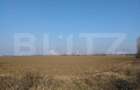 Teren 6,06 Ha, deschidere 145 ml, la DN1A. Barcanesti. - 5