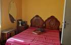 Apartament cu 2 camere semidecomandat în Podu Roș - 5